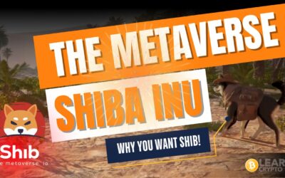 Shiba Inu – The Metaverse