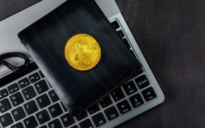 What are Cold Wallets?