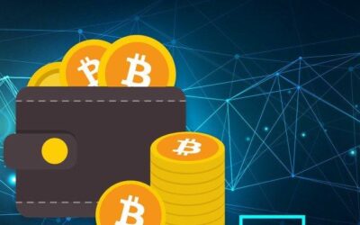 What are Hot Wallets?