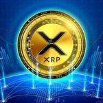 All Things XRP