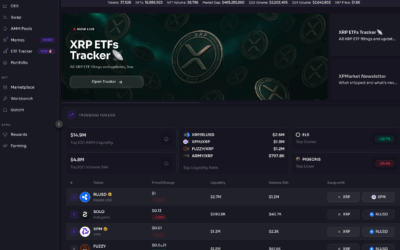 XPMARKET